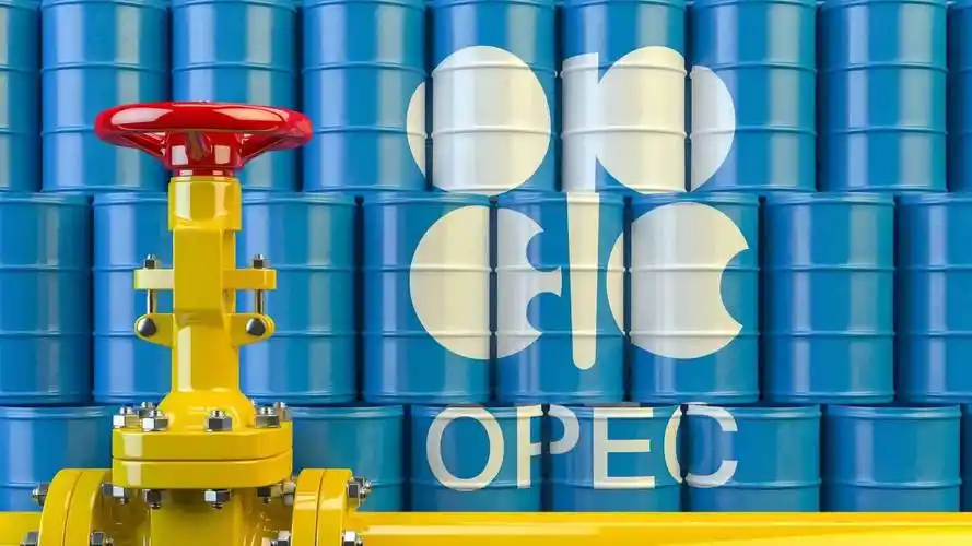 國際能源署稱，OPEC+加息后全球石油供應(yīng)增長速度將快于預(yù)期