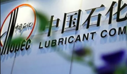 中國(guó)石化發(fā)布2024年度社會(huì)責(zé)任報(bào)告