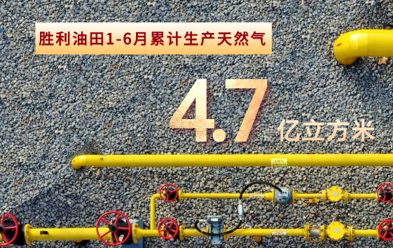 勝利油田超額完成半年目標任務(wù)！
