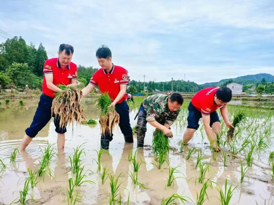 中國石化1.1萬座加油站服務農(nóng)機 助力“三夏”